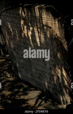 A tombstone hidden among leaves in the Jewish cemetery, Budapest