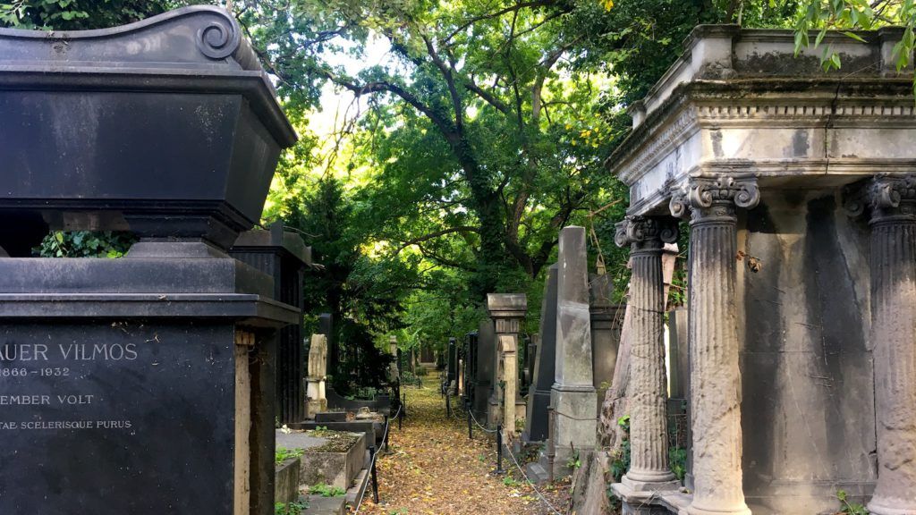 Beautiful nature at the Jewish cemetery, Budapest