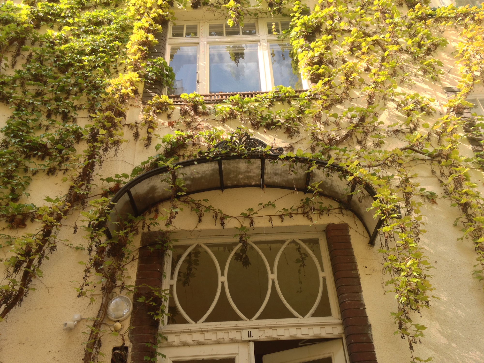 In a courtyard of a house in Budapest