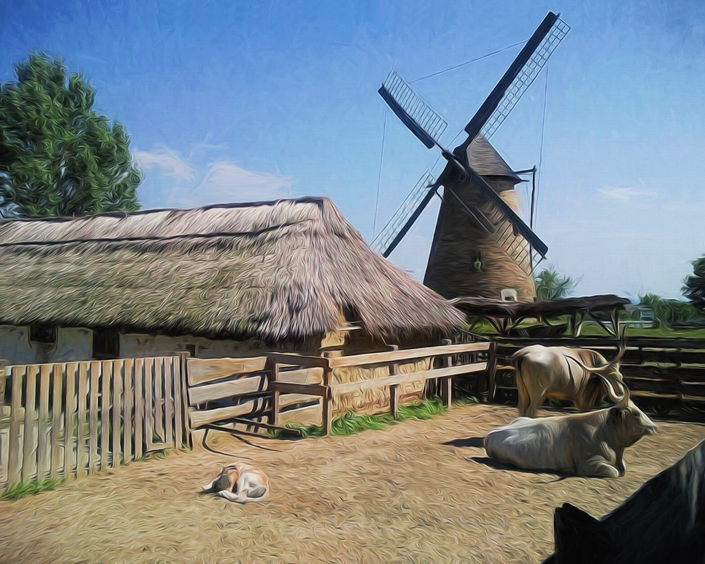 Grey cattle at the Szentendre Open Air Museum