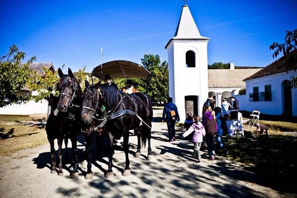 A horse at the Szentendre Open Air Museum