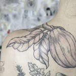 Cocoa plant - Tattoo by Dorca