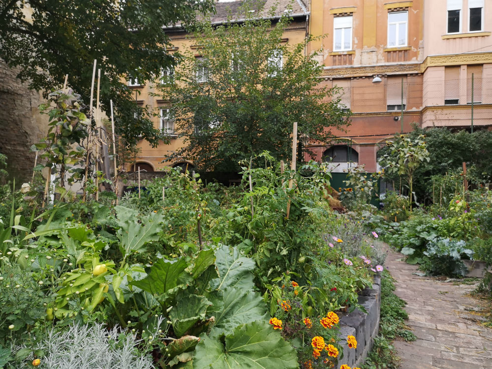 An urban garden in Budapest