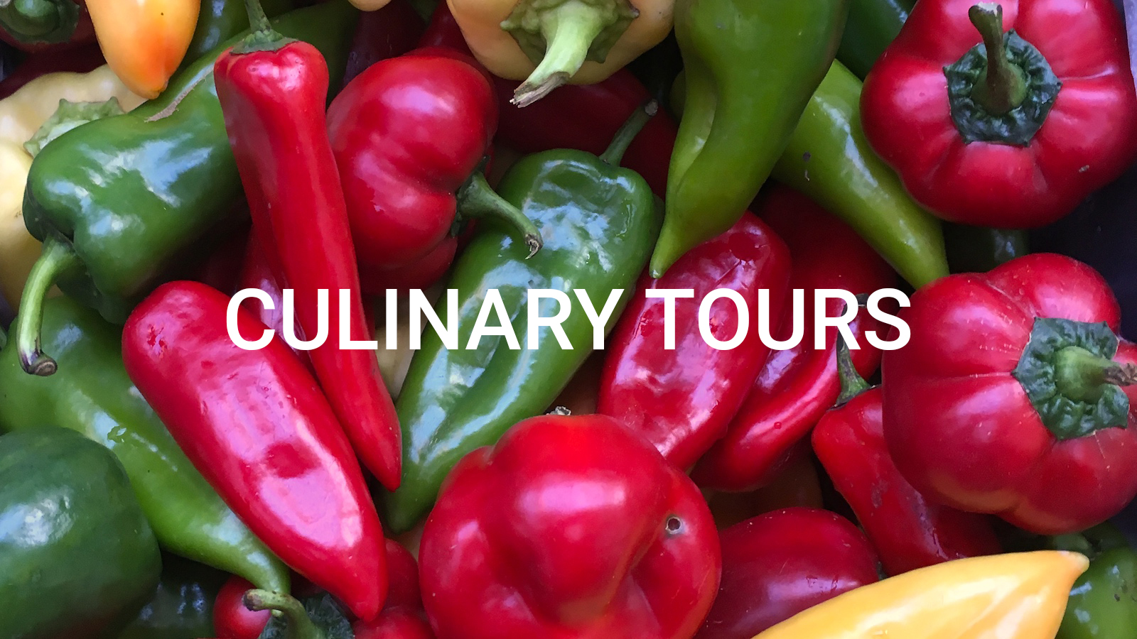 Culinary Tours