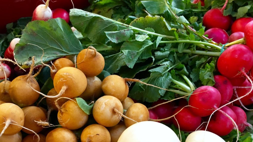 Colorful radishes at the farmers market of Budapest - Vegan Food Tour