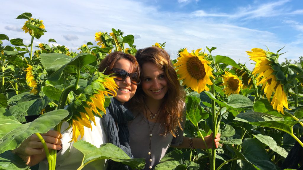 Private Tour to Etyek during sunflower season