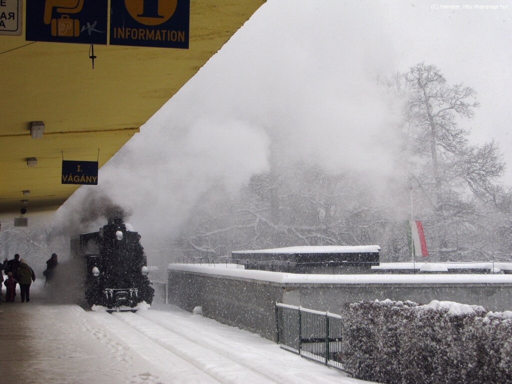 The Children's Railway is one of the most unique things you find in Budapest