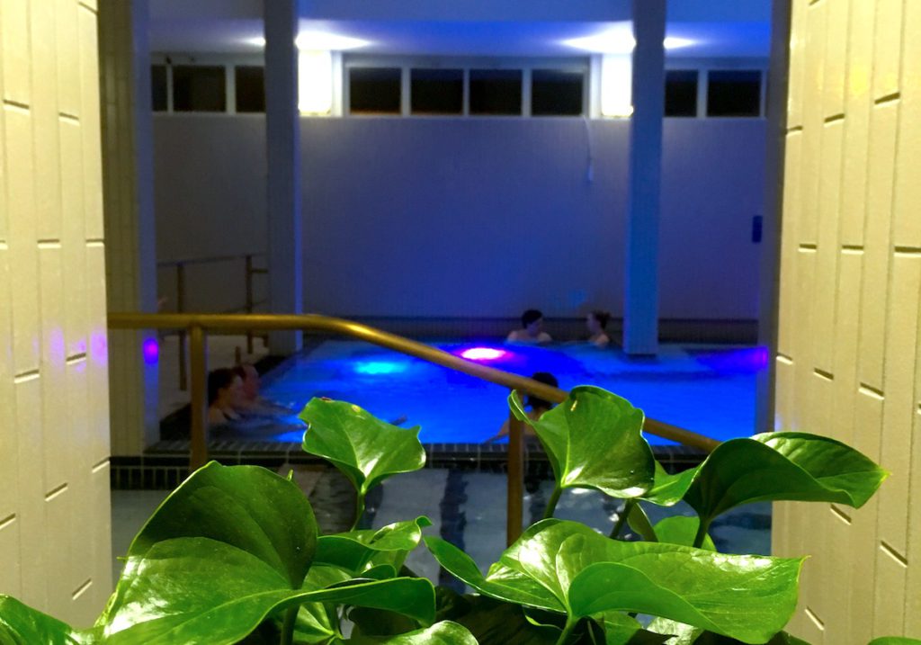 The indoor thermal pool behind some green plants at Palatinus Baths