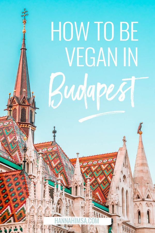 Article about the Vegan Tour of Budapest 101